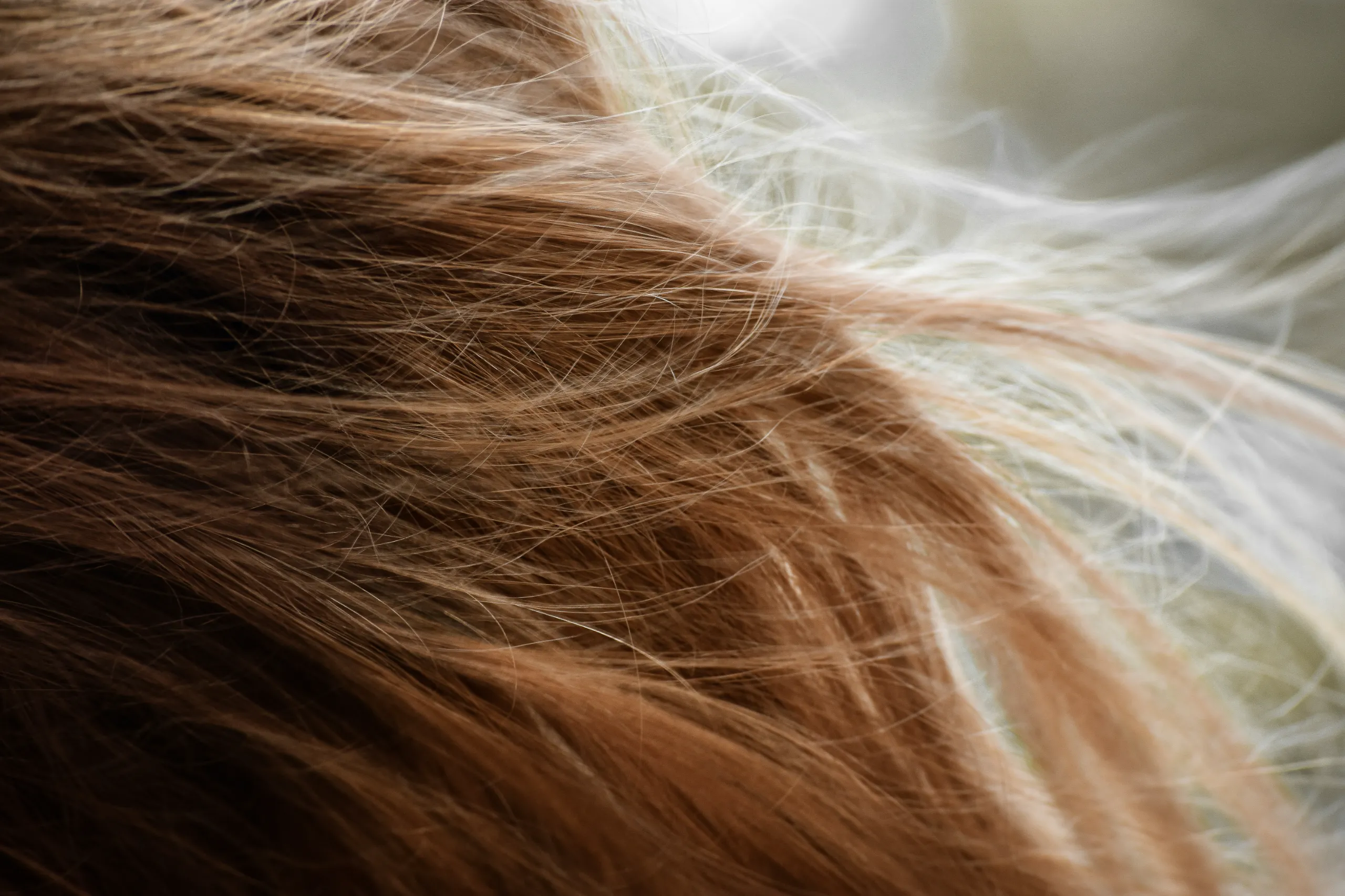 Rosacea